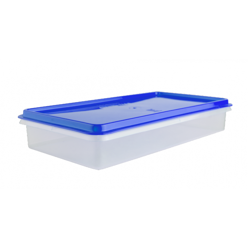 Caja Conservadora Nº 8 BASA 8118