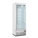 Visicooler Premium Freezer Bottom Mounted 1Pta 500lt VENTUS VCFBM-500L