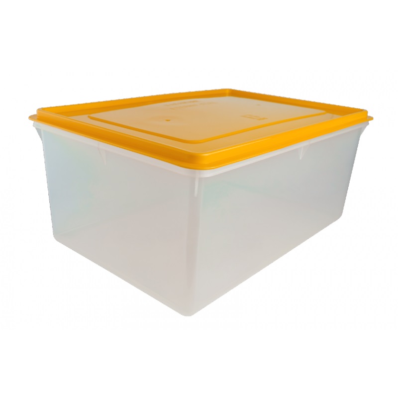 Caja Conservadora Nº 10 BASA 8816