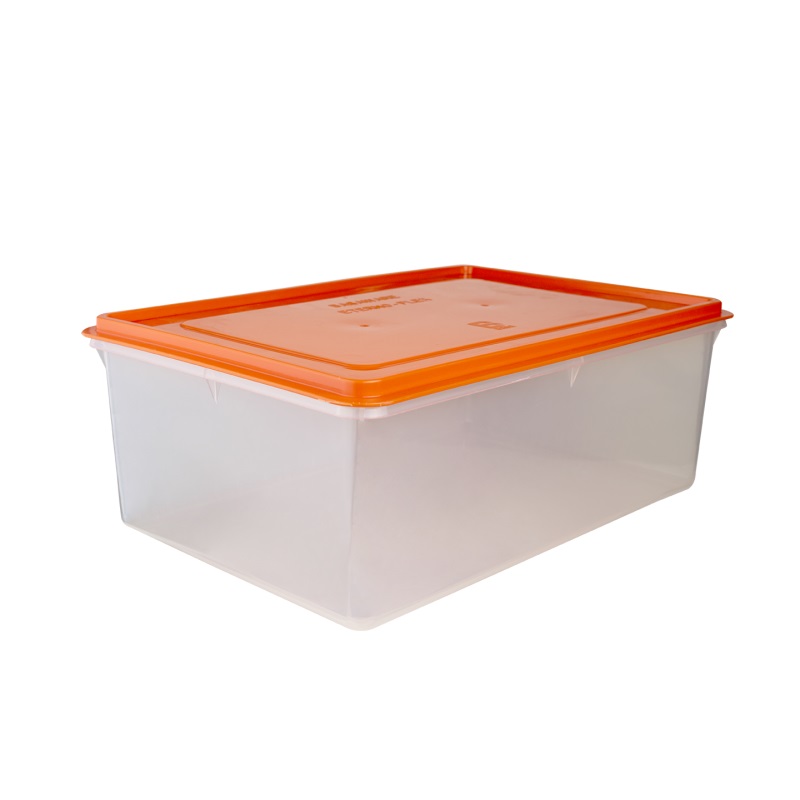Caja Conservadora Nº 11 BASA 8922